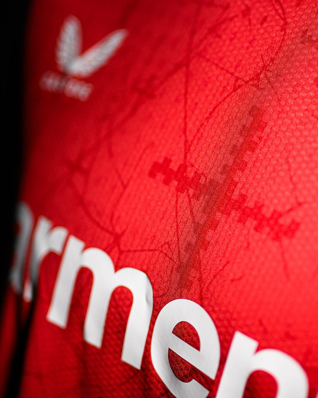 Camisola principal Bayer Leverkusen 2024/25