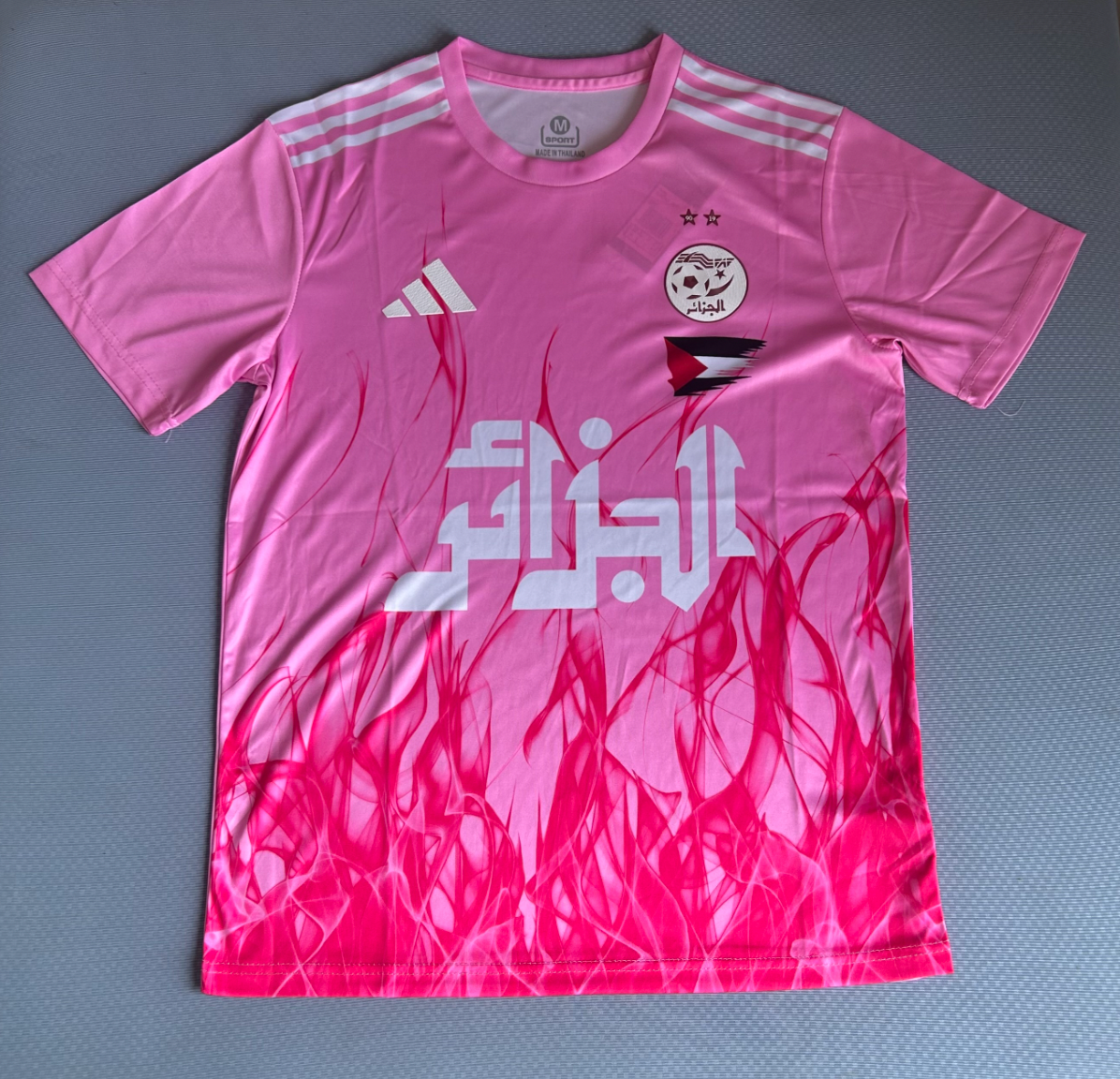 Algeria Palestine Pink Special Edition Jersey 25/26