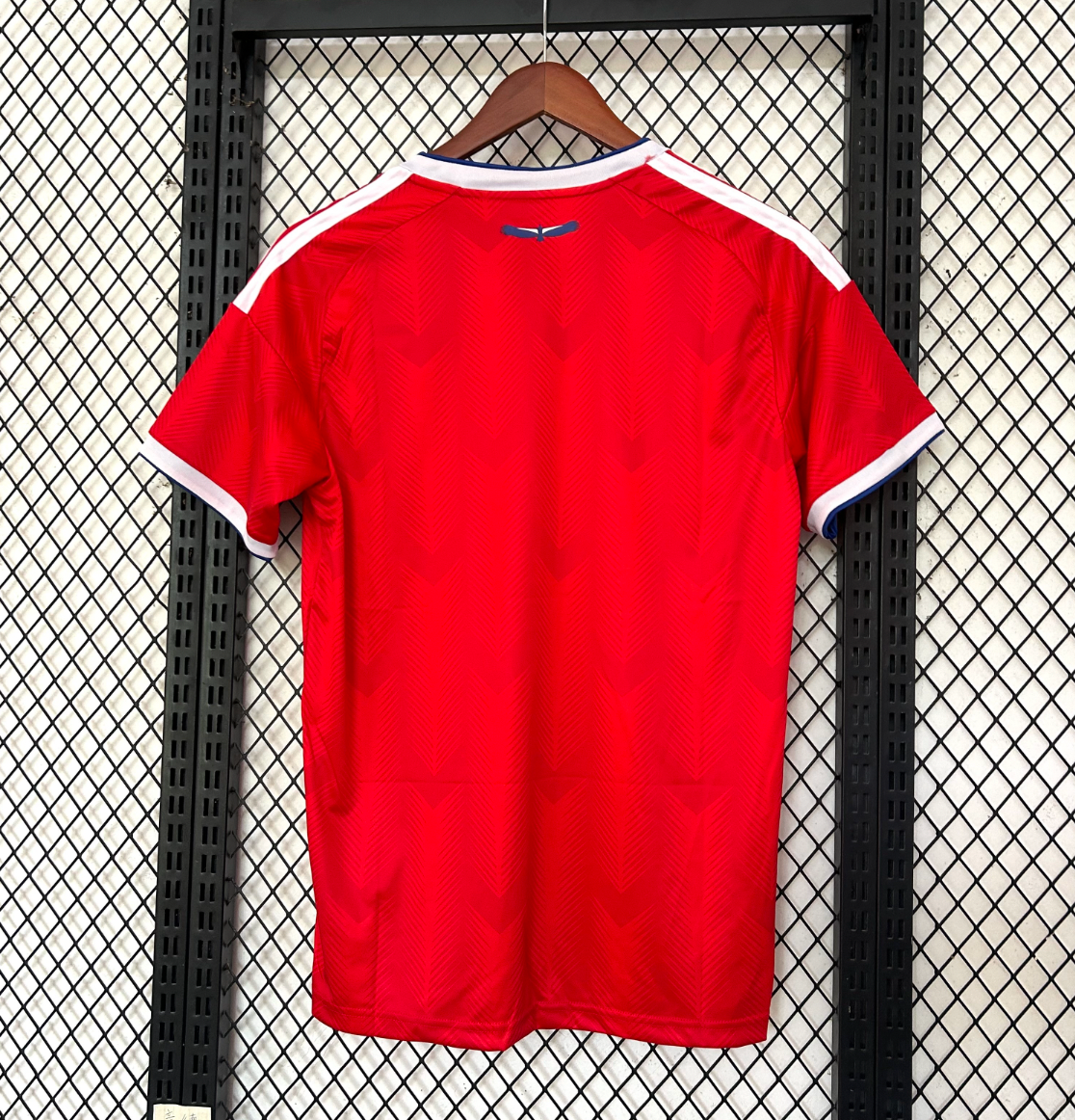 Edición especial Chile x Stussy 2025/2026