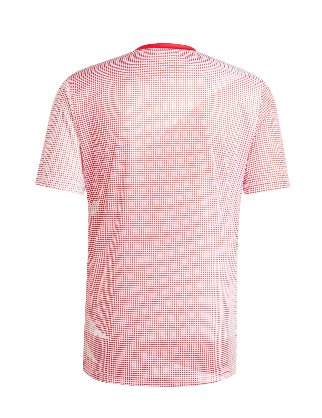 Canada Maglia Edizione Speciale Coppa del Mondo 2026
