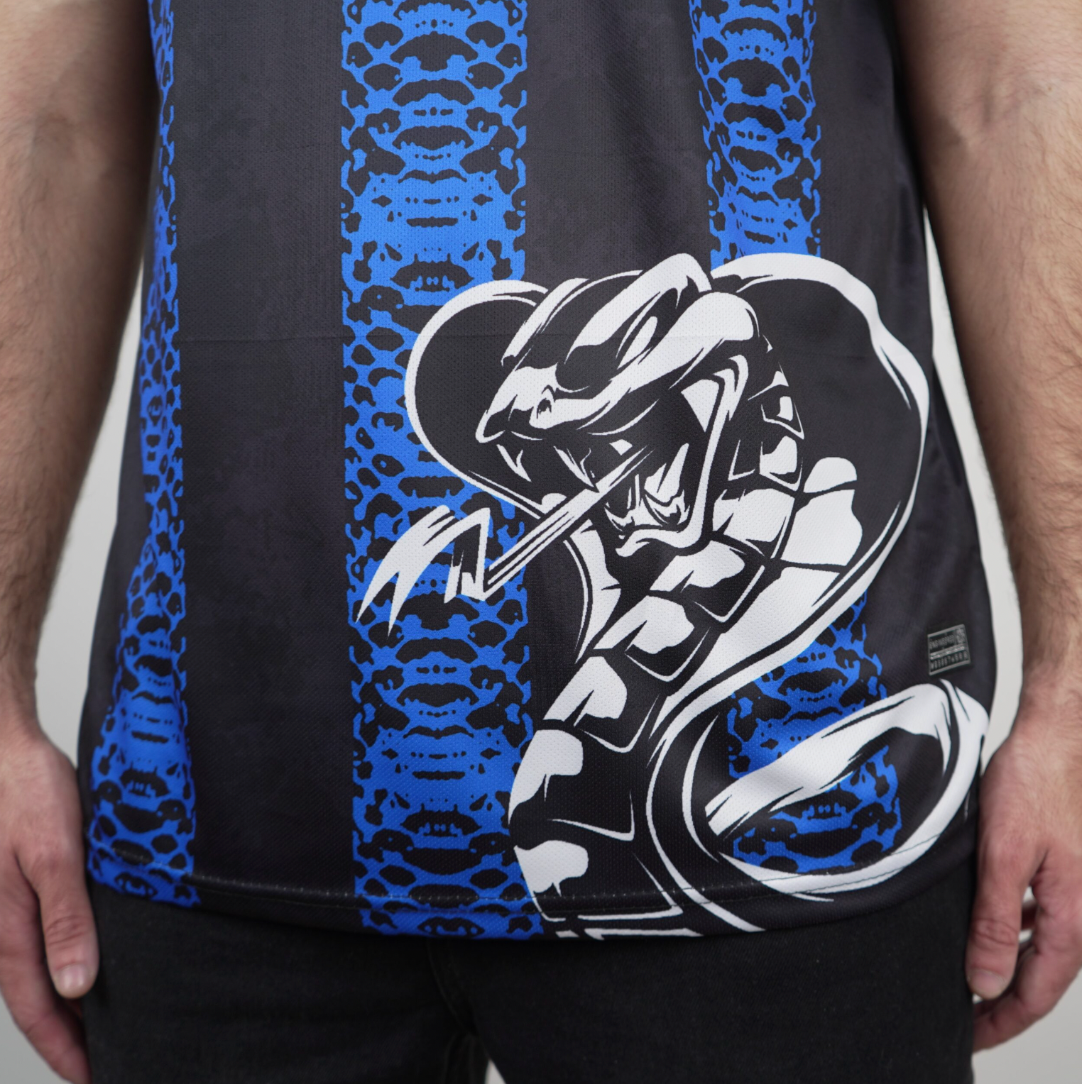 Inter Milão Camisola Cobra 24/25