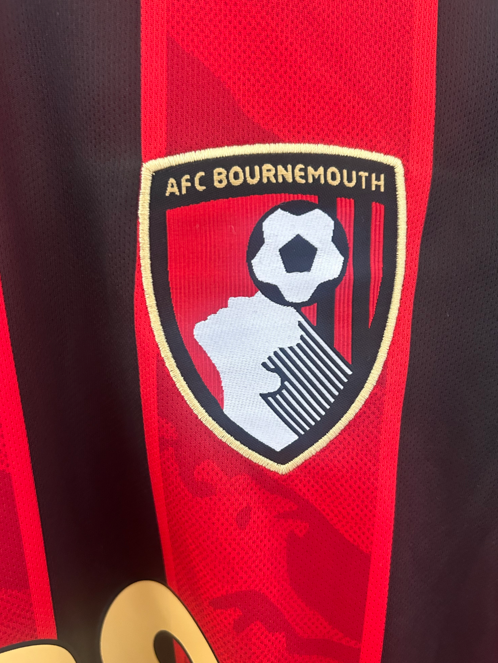 AFC Bournemouth 2025/2026 Jersey