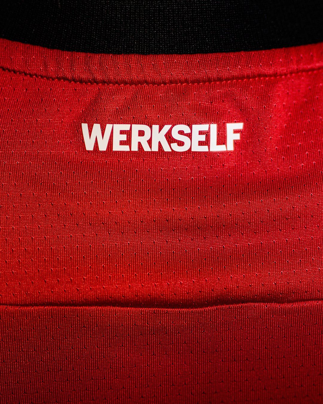 Camisola principal Bayer Leverkusen 2024/25
