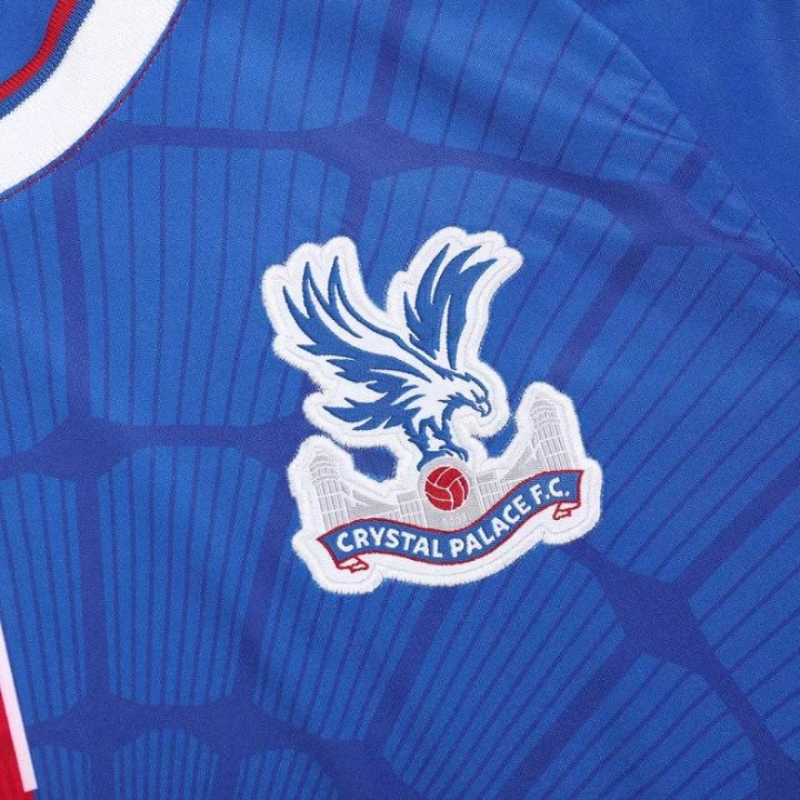 Crystal Palace Thuis Shirt 2023/24