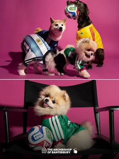 adidas Is Making Football Kits for Dogs — And Football Fashion Just Got Even Cuter 🐶⚽
