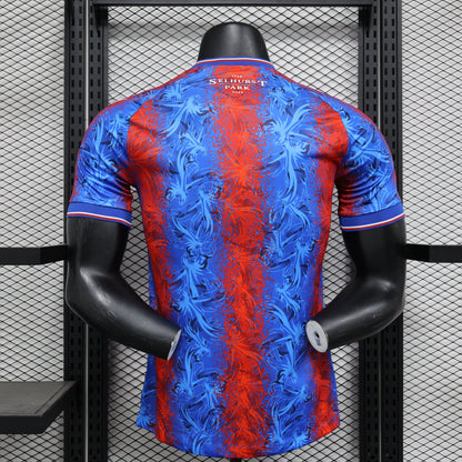 Crystal Palace Domicile 2024/25