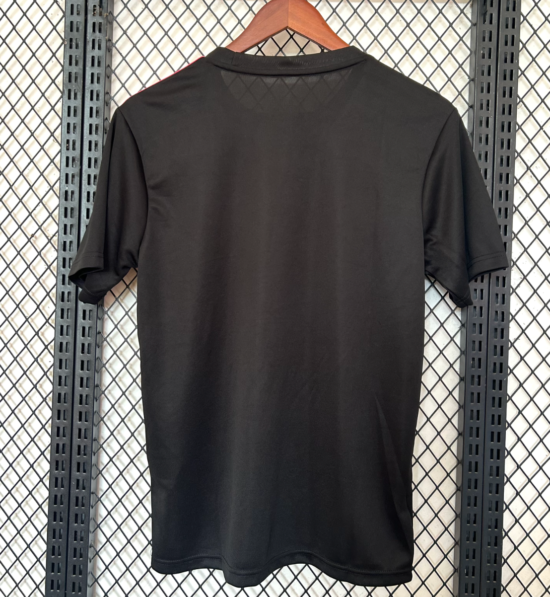 Japan Roze Draak Speciale Editie 2025/2026 Shirt
