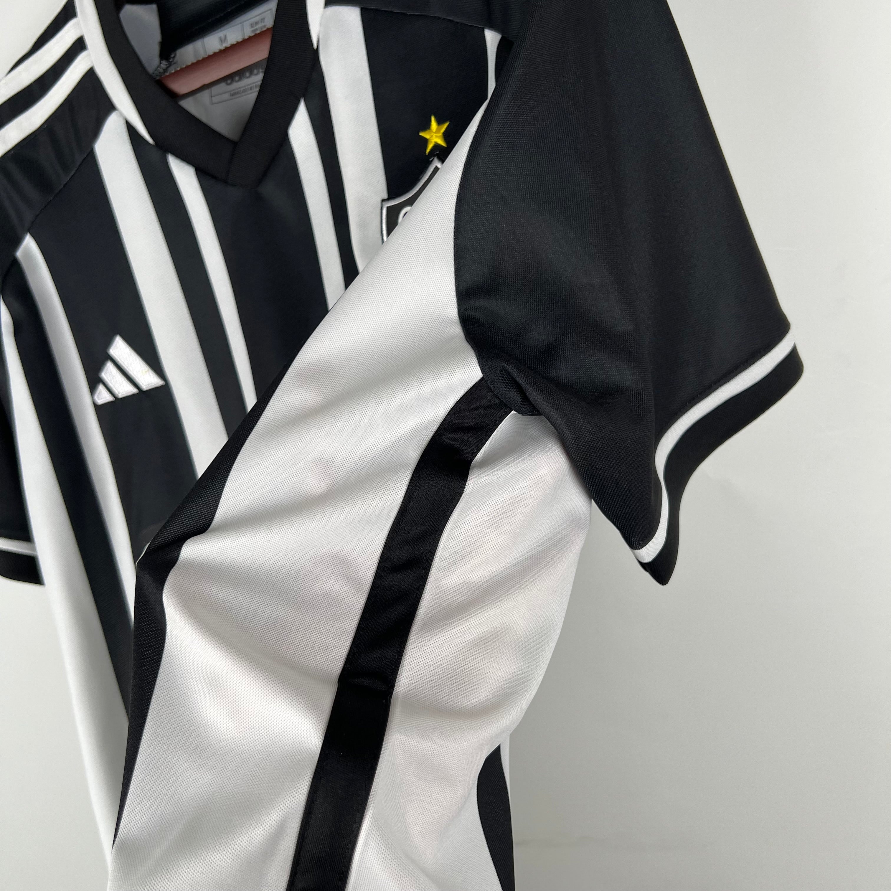 Atlético Mineiro 23-24 Casa